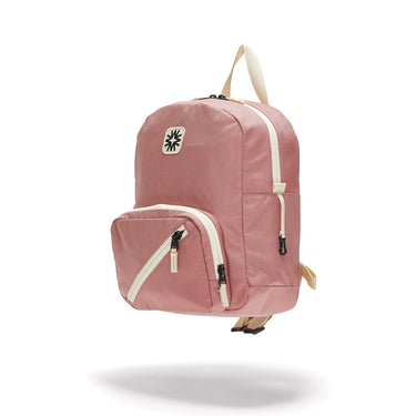 Tiny Tommy Pack Rose