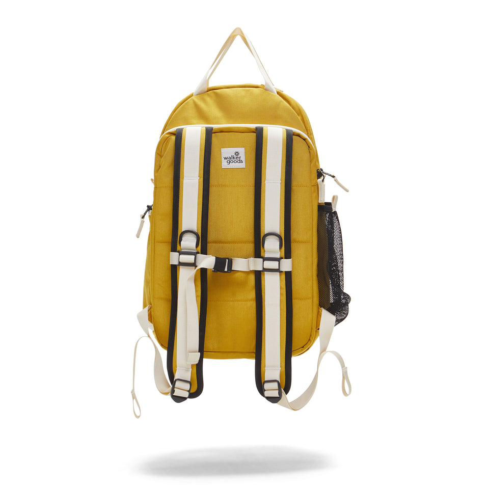 A closer look at Sporting Yellow Walkeron Candy Options
